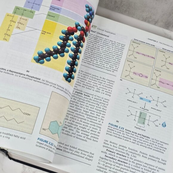 Anatomy & Physiology The Unity of Form & Function by Kenneth Saladin - Picture 8 of 12